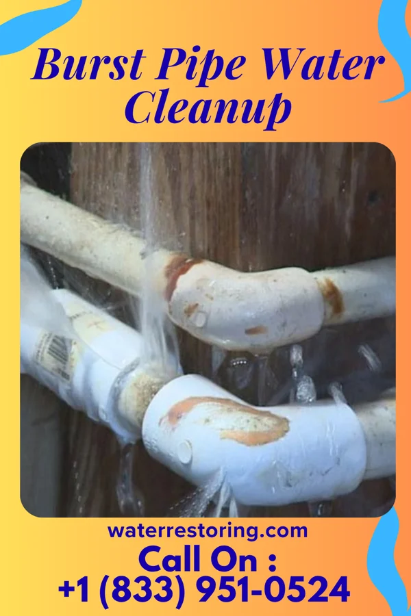 Burst Pipe Water Cleanup in Marion Heights, PA