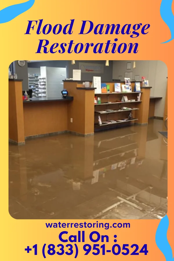 Flood Damage Restoration in Marion Heights, PA