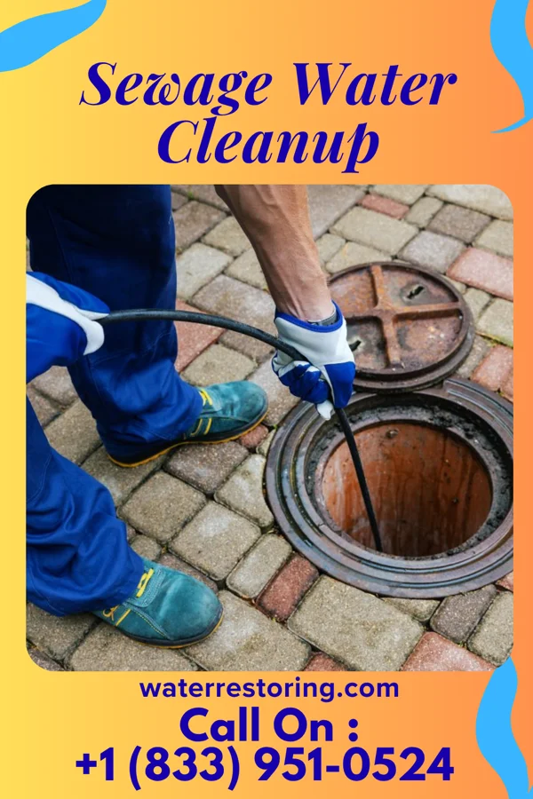 Sewage Water Cleanup in Marion Heights, PA