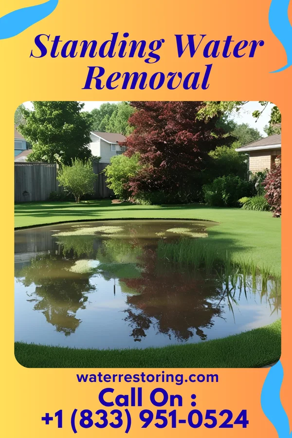 Standing Water Removal in Marion Heights, PA